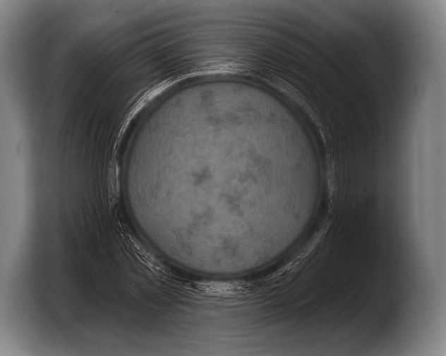 X0000103320781200810060954
