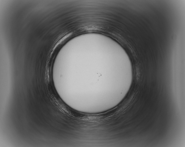 X0000103320782200810060954