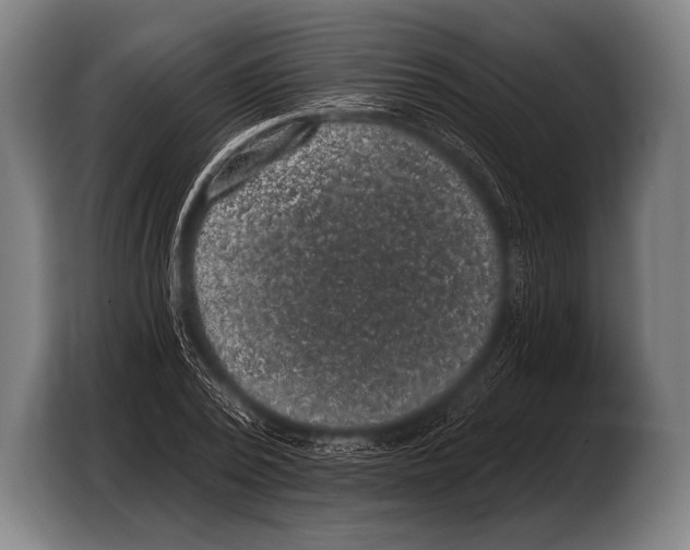 X0000103320784200810060954