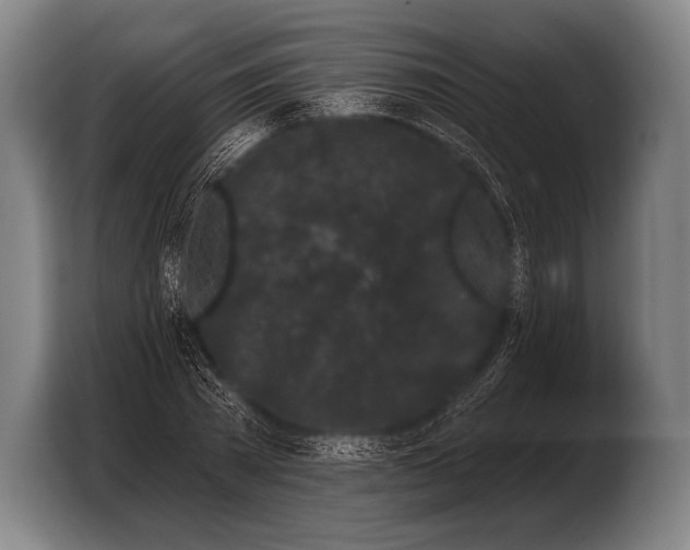 X0000103320785200810060954
