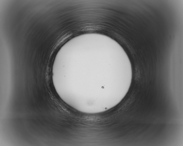 X0000103320786200810060954