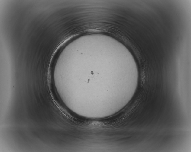 X0000103320787200810060954