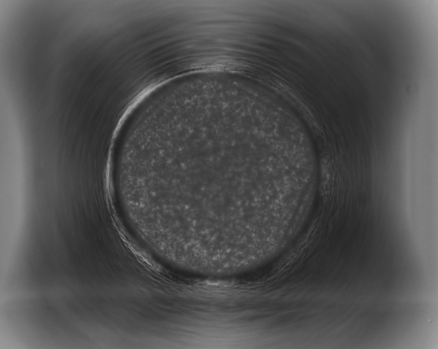 X0000103320788200810060954