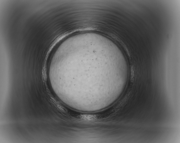 X0000103320789200810060954