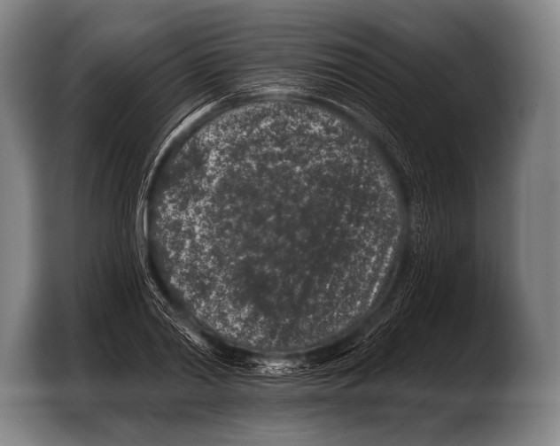 X0000103320790200810060954