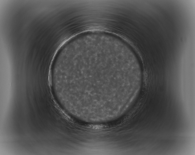 X0000103320791200810060954