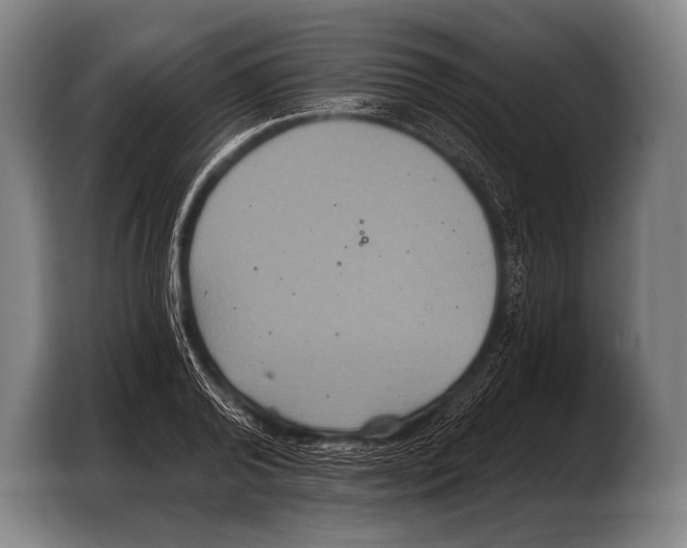 X0000103320792200810060954
