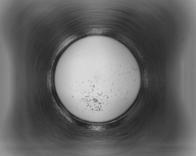 X0000103320794200810060953