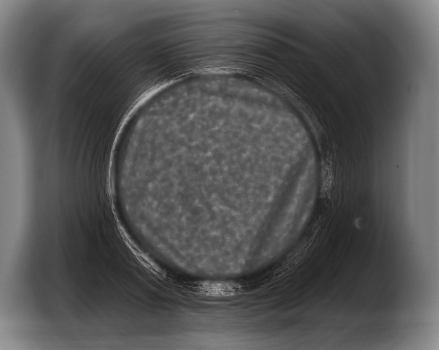 X0000103320795200810060953