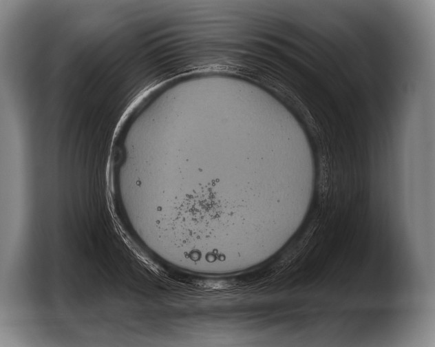 X0000103320796200810060953