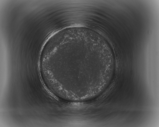 X0000103320797200810060953