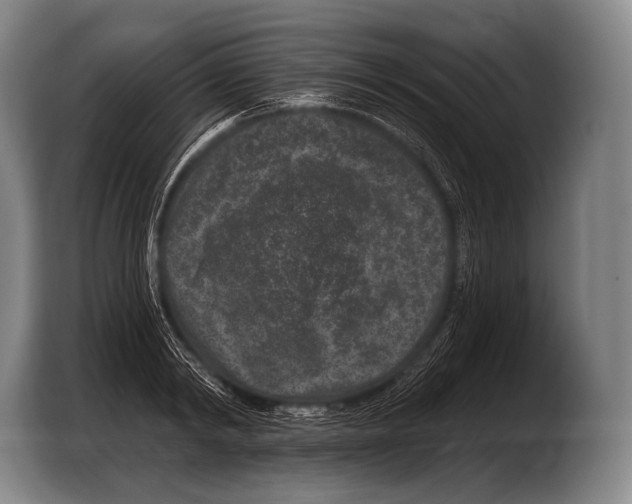 X0000103320798200810060953