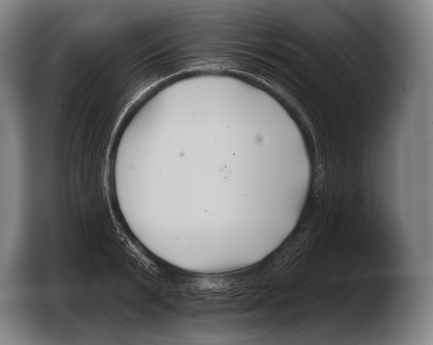 X0000103320799200810060953
