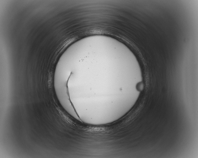 X0000103320801200810060953