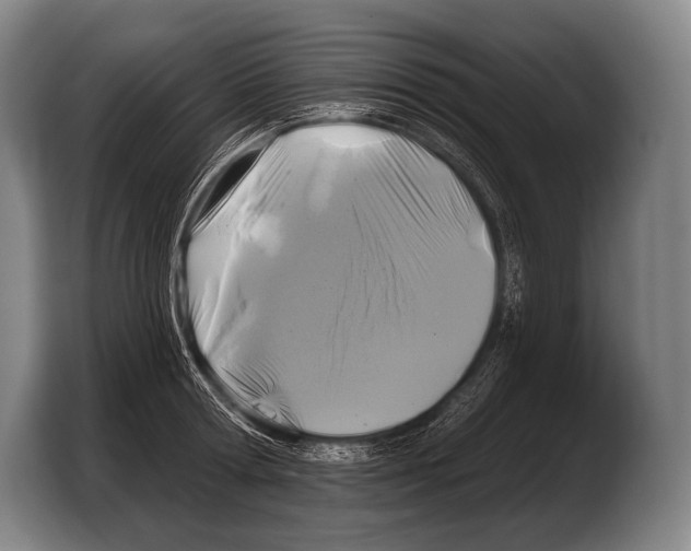 X0000103320802200810060953
