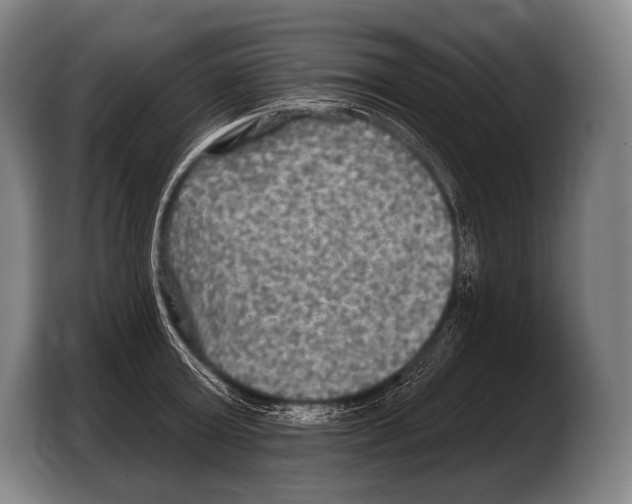 X0000103320803200810060953