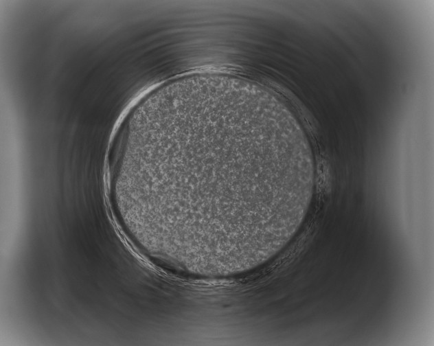 X0000103320804200810060953