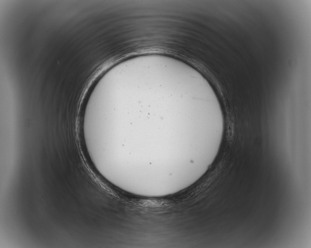 X0000103320805200810060953