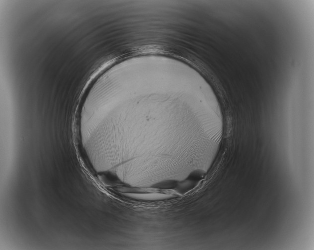 X0000103320806200810060953