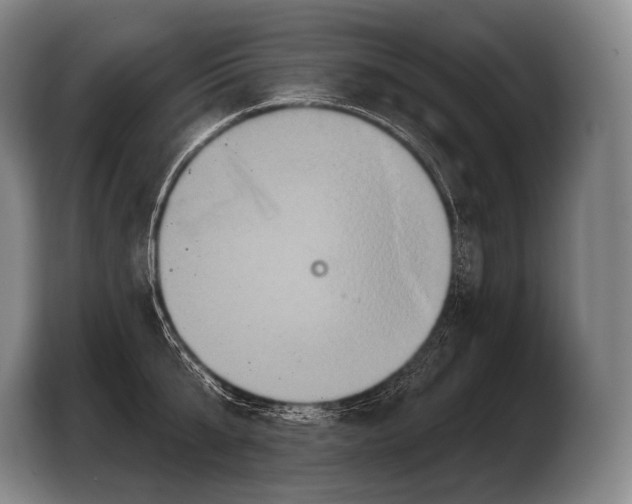 X0000103320807200810060953