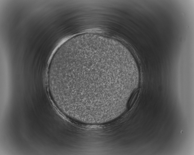 X0000103320808200810060953