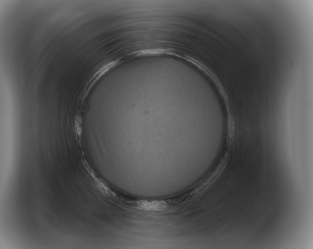 X0000103320809200810060953