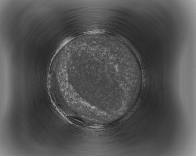 X0000103320810200810060953
