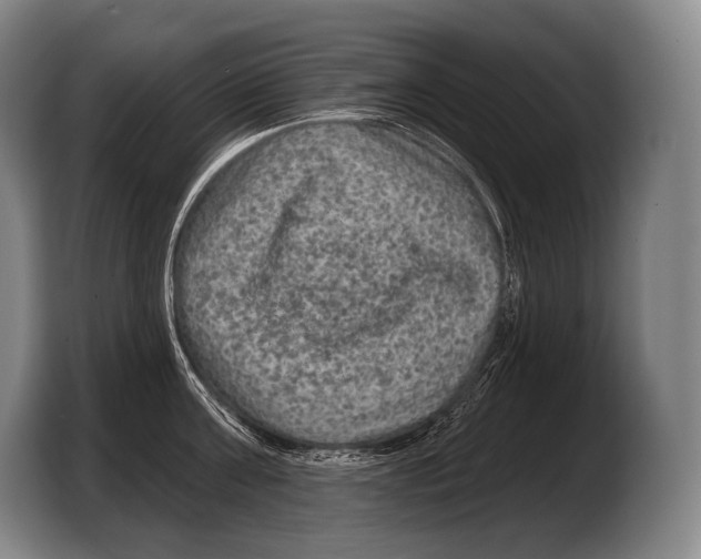 X0000103320811200810060953