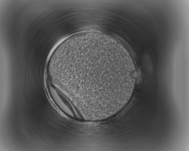 X0000103320812200810060953