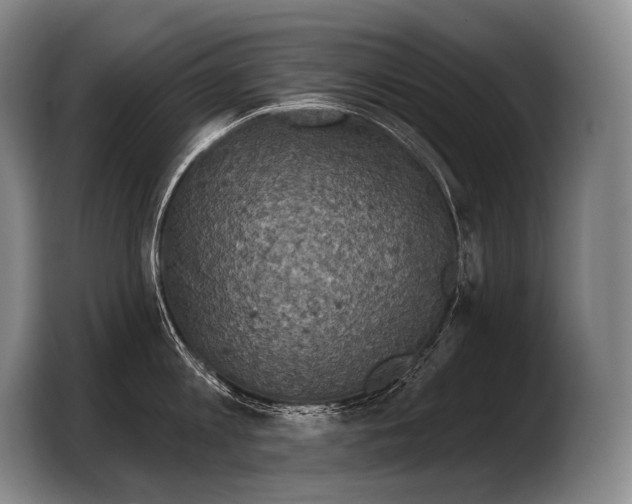 X0000103320813200810060953