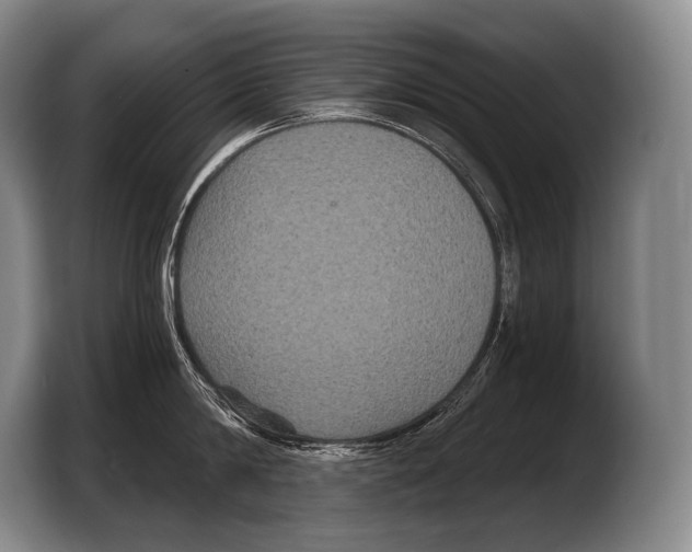 X0000103320814200810060953