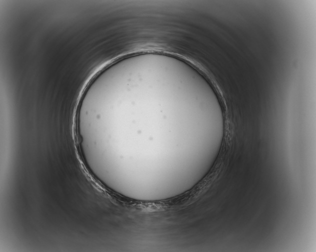 X0000103320815200810060953