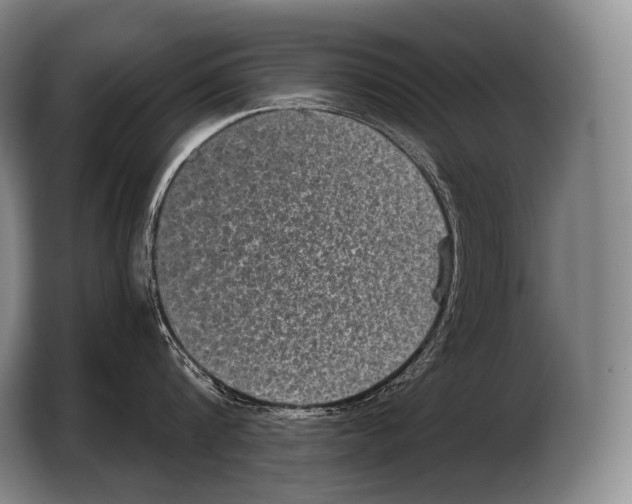 X0000103320816200810060953