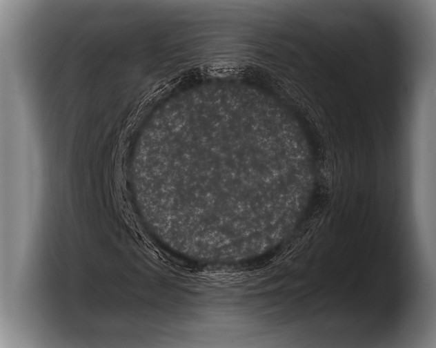 X0000103320817200810060953