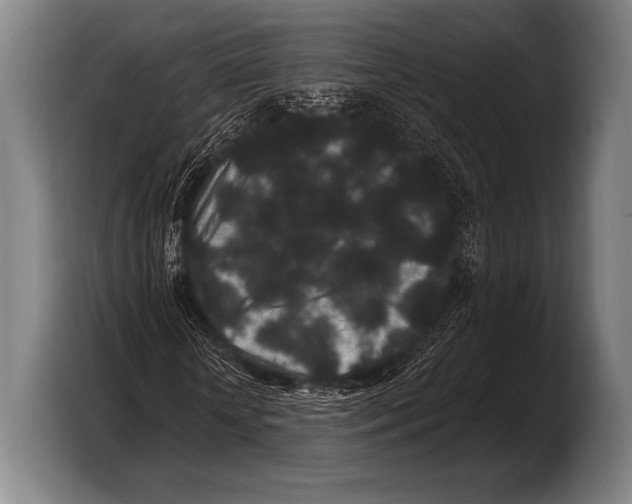 X0000103320818200810060953