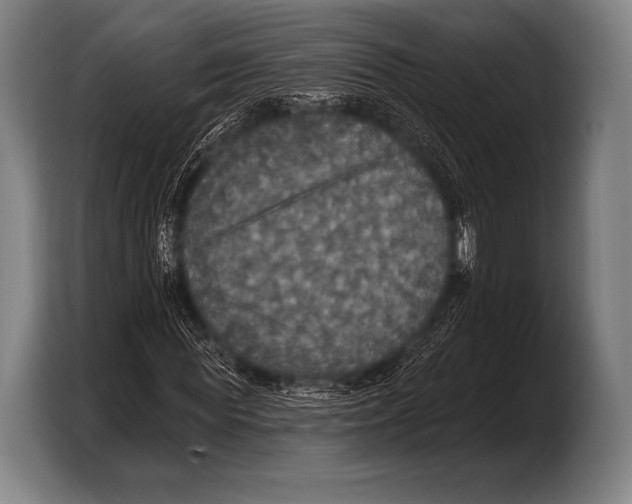 X0000103320819200810060953