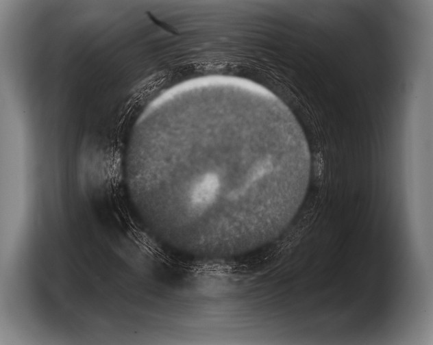 X0000103320820200810060953