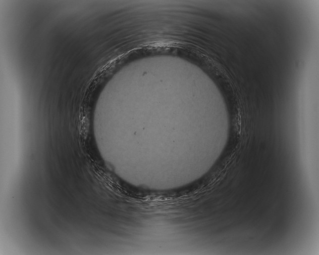 X0000103320821200810060953