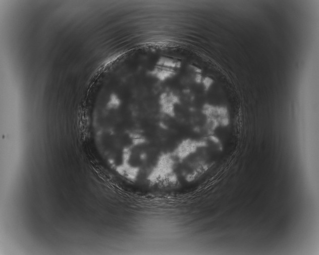 X0000103320822200810060953