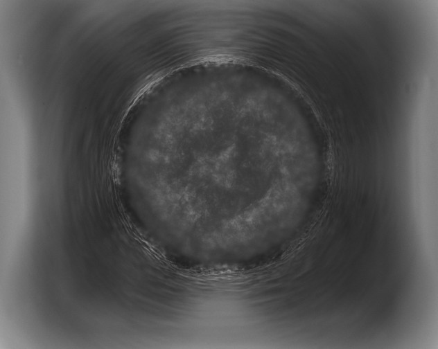 X0000103320823200810060953