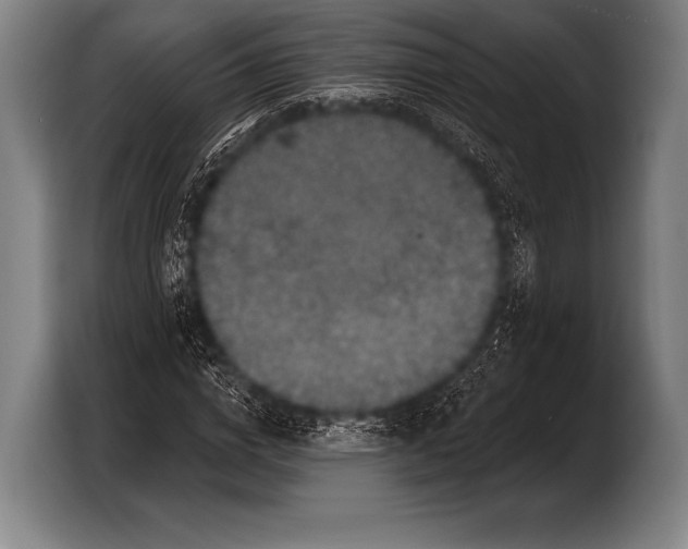 X0000103320824200810060953