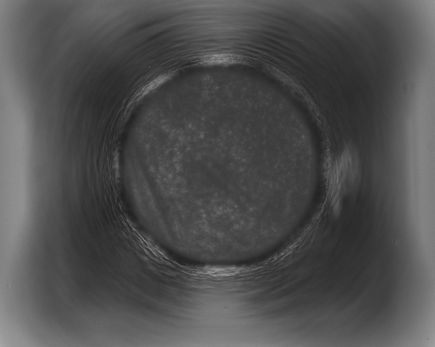 X0000103320825200810060953