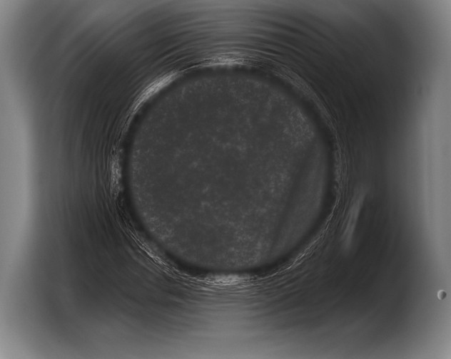 X0000103320826200810060953