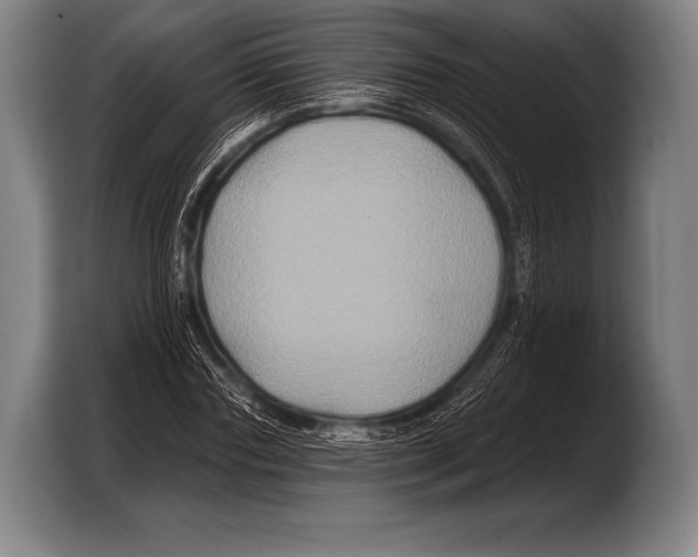 X0000103320827200810060953