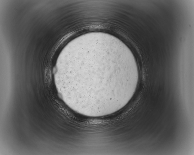X0000103320829200810060953