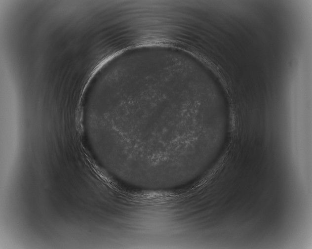X0000103320830200810060953