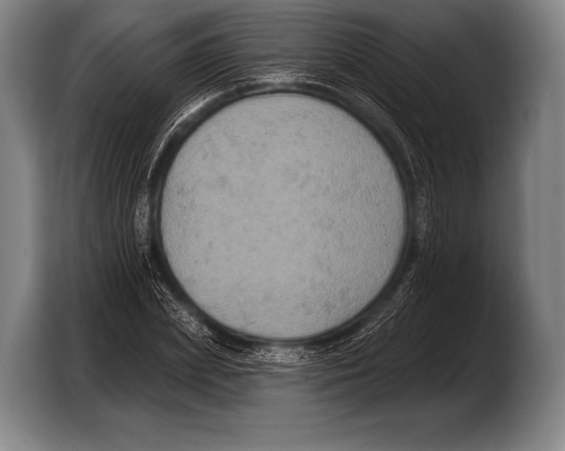 X0000103320831200810060953