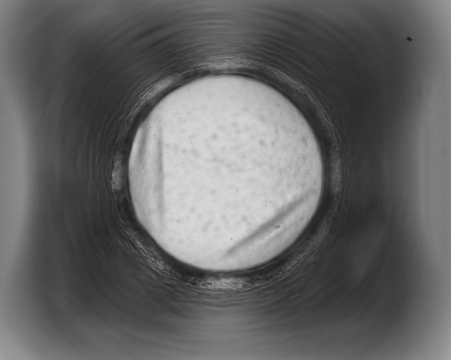 X0000103320833200810060953