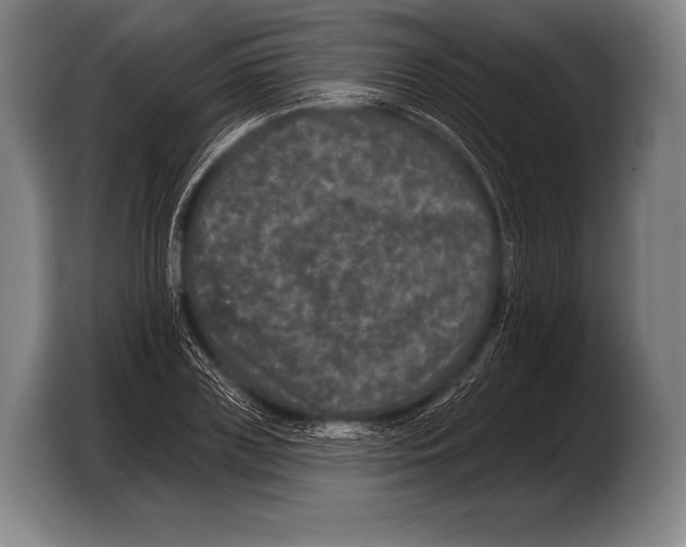 X0000103320835200810060953