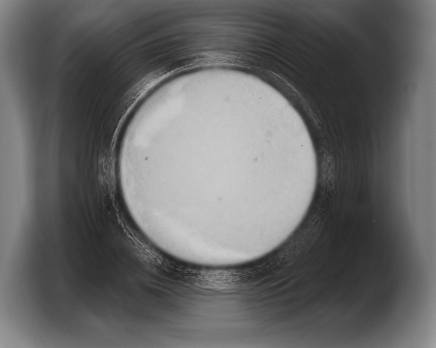 X0000103320836200810060953
